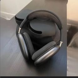Airpod maxes brand new 