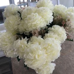 Beautiful White Flowers