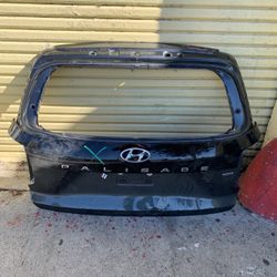 2020-2022 Hyundai Palisades Rear Liftgate Tailgate With Molding And Back Up Camera 