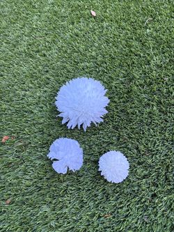 White Artificial Stemless Mums