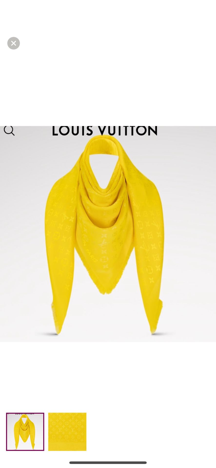 Louis Vuitton Shawl