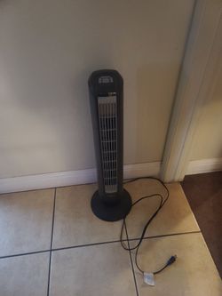 Fan