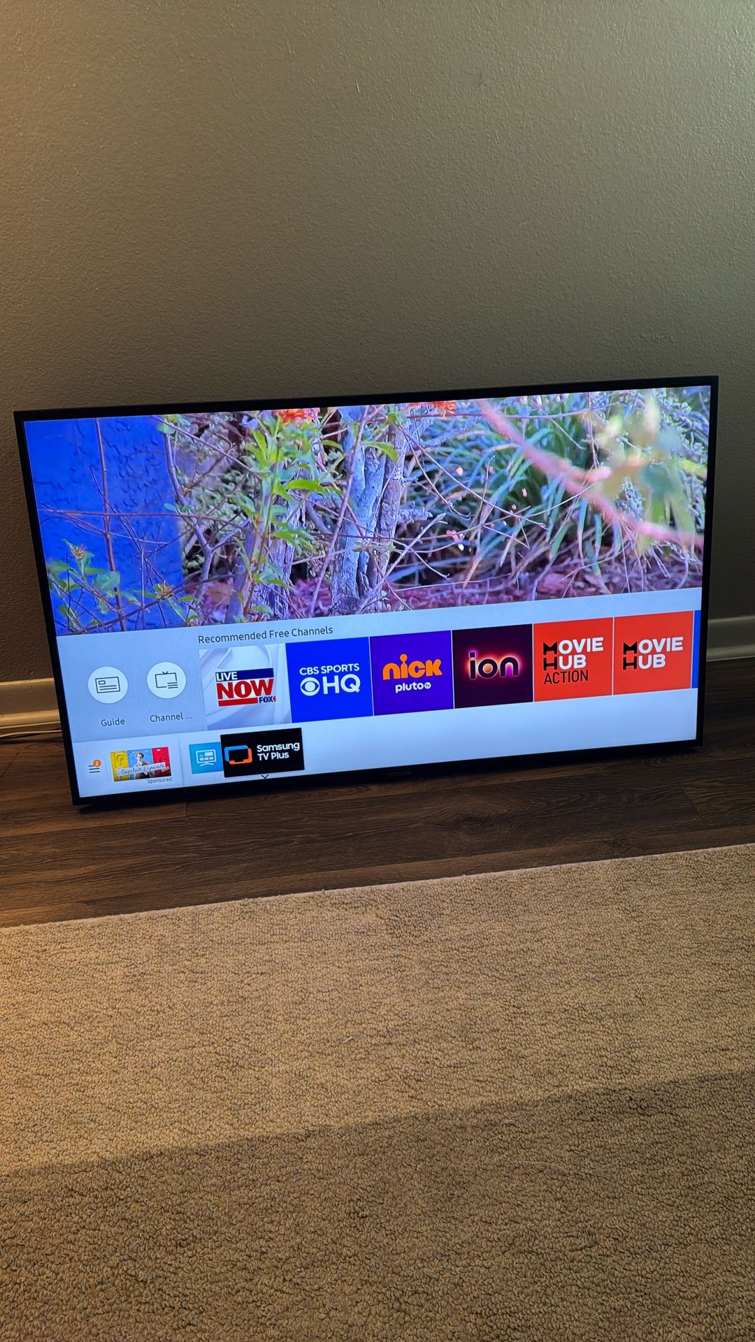 Samsung TV 55” Broken With Mount