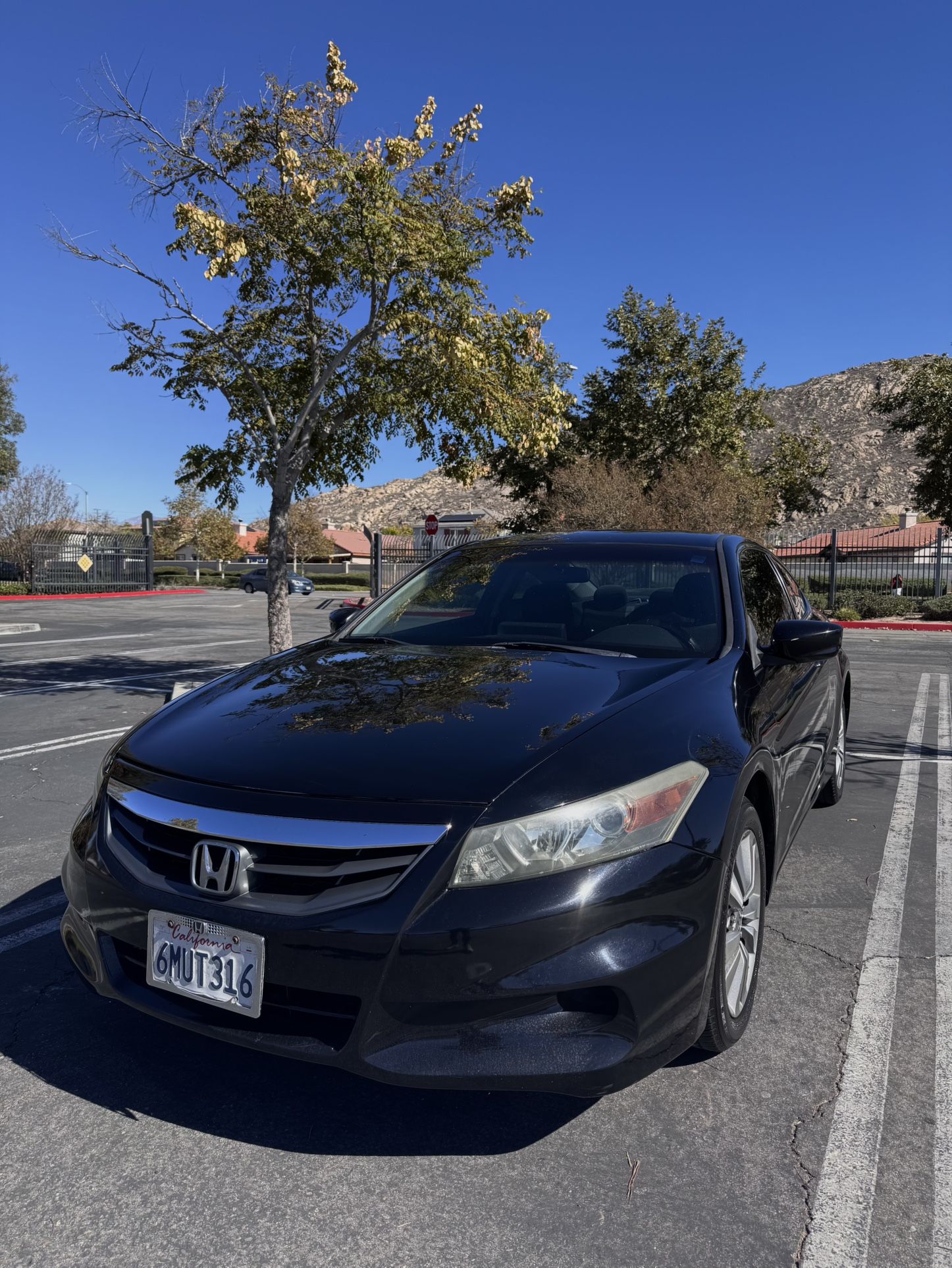 2010 Honda Accord