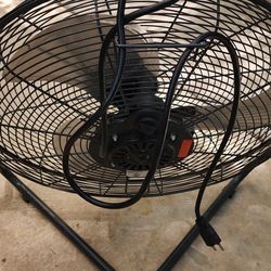Fan