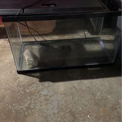 Tank 