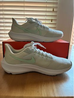 Brand New Nike Pegasus 39