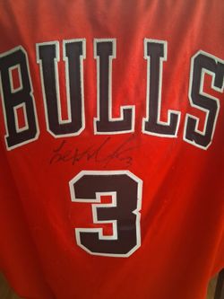 Reebok Team Apparel Authentic Size 44 Ben Wallace Autographed Jersey