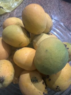 Organic  s, m and big mangoes  10 for $20