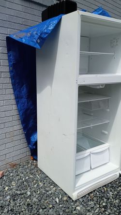 White fridge