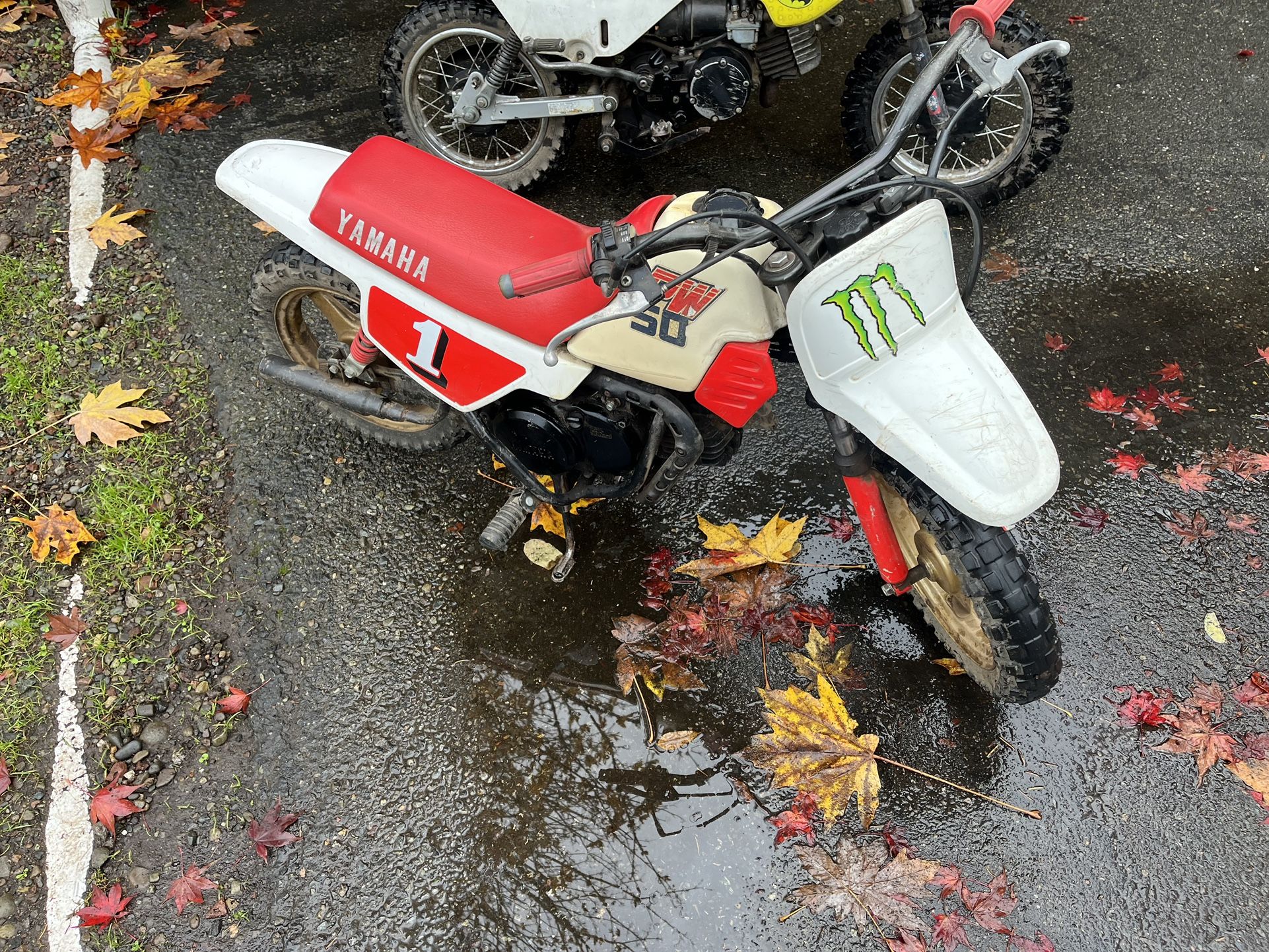 1986 Pw 50