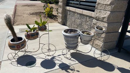 Plants $25