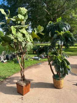 Two artificial plants $48 each excellent condition