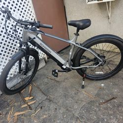 Schwinn  Electric  Bike