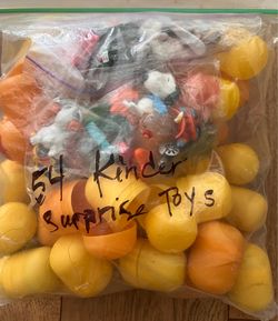 54 Kinder Surprise Toys in Egg Case