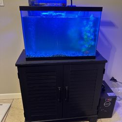 Aquarium , and chiller 