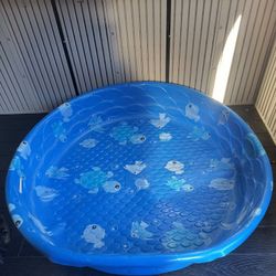 Kids Swimming Pool Or Dog Washing Pool