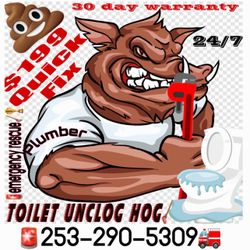 Unclog Hog Roter Rooter Emergency Rescue Service 