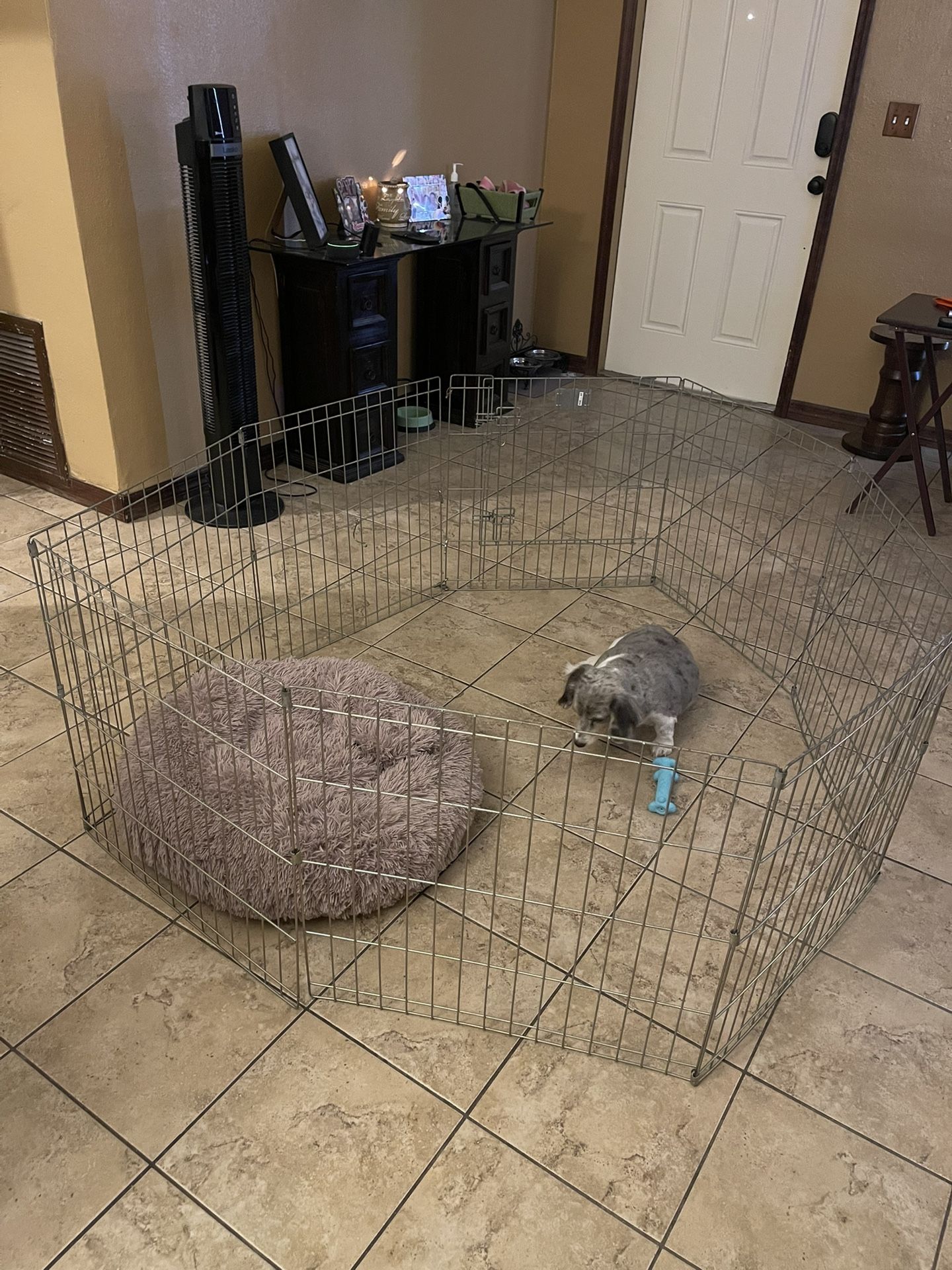 Dog Pen 