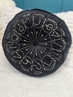 2 Pottery Barn teen Harry Potter Pillows 