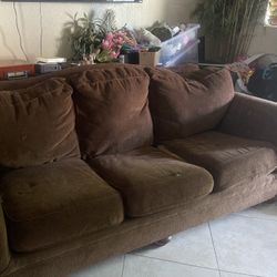 Brown Couch 