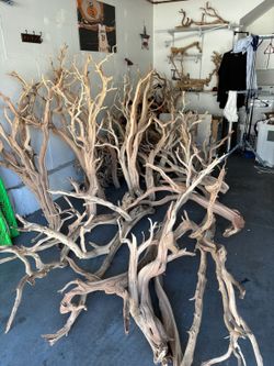 Driftwood/Ghostwood