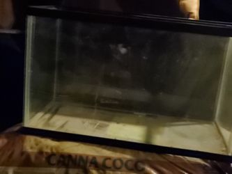5 gallon tank