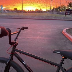 29 in GT pro bmx bike