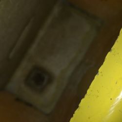 Carpet Extractor