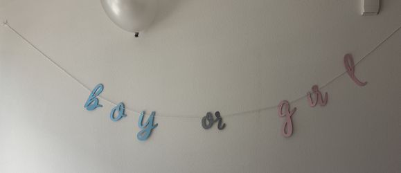 Gender Reveal Banner