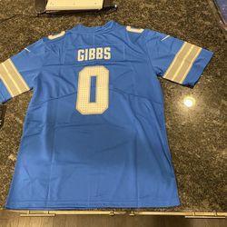 Detroit Lions Adult Sizes Small Up To 3XL 