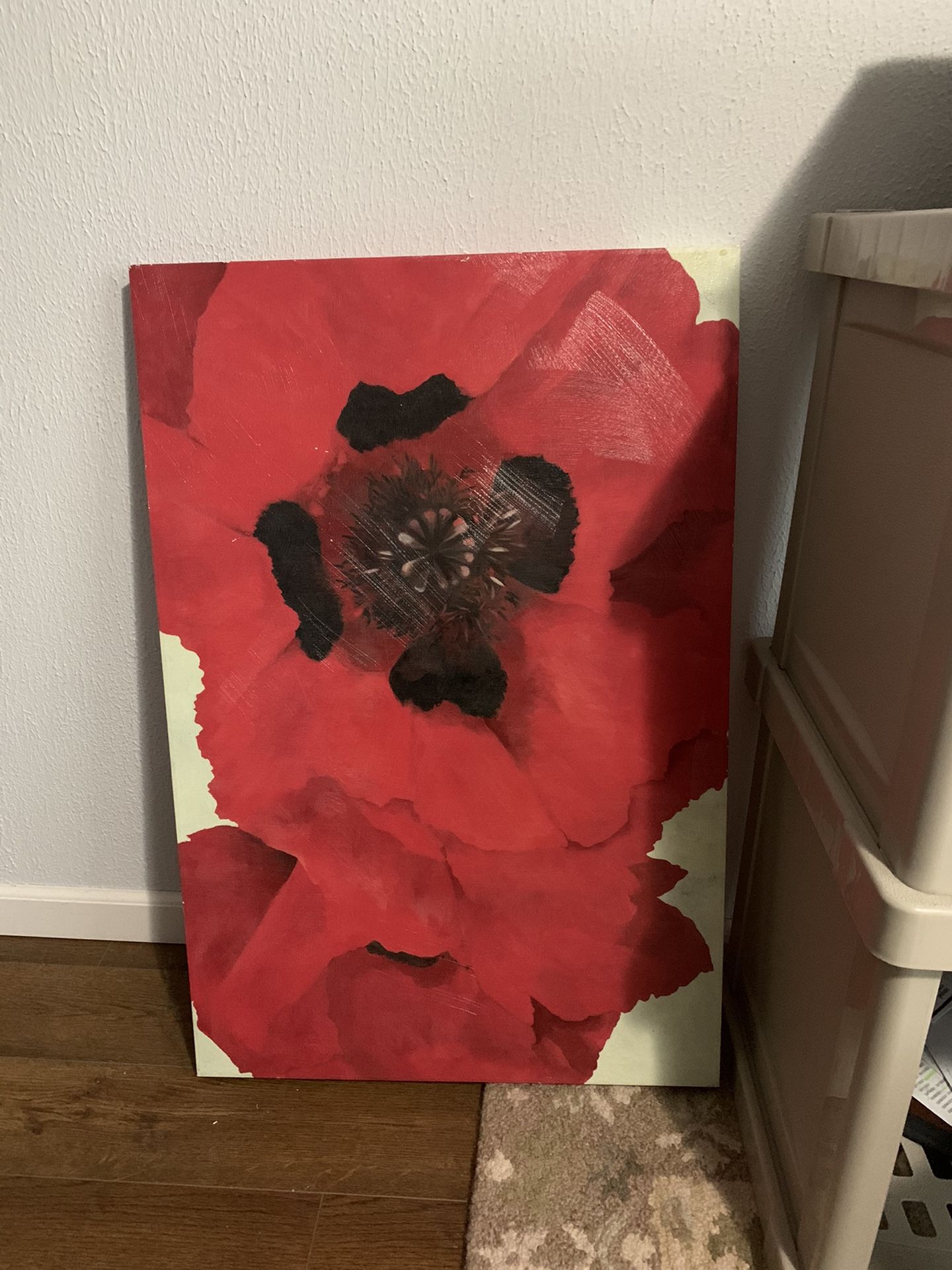 Beautiful Poppy Painting
