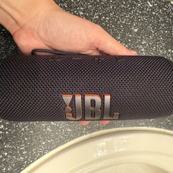 JBL Flip 6