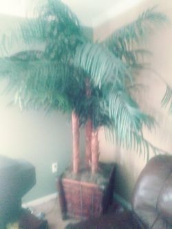 Artificial Palm tree