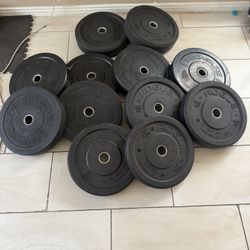 Rogue bumper Olympic weights 570lbs total