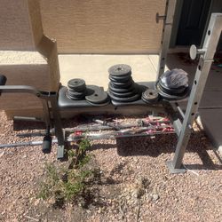 Workout Bench, Weights, Bars