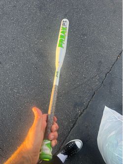 Asa bat