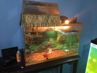 Tank topper turtles for Sale in Spartanburg, SC - OfferUp