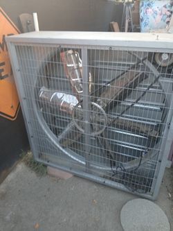Fan