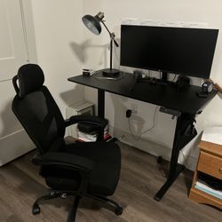 Ergonomic Office Chair + Adjustable Standing Desk + Monitor Setup