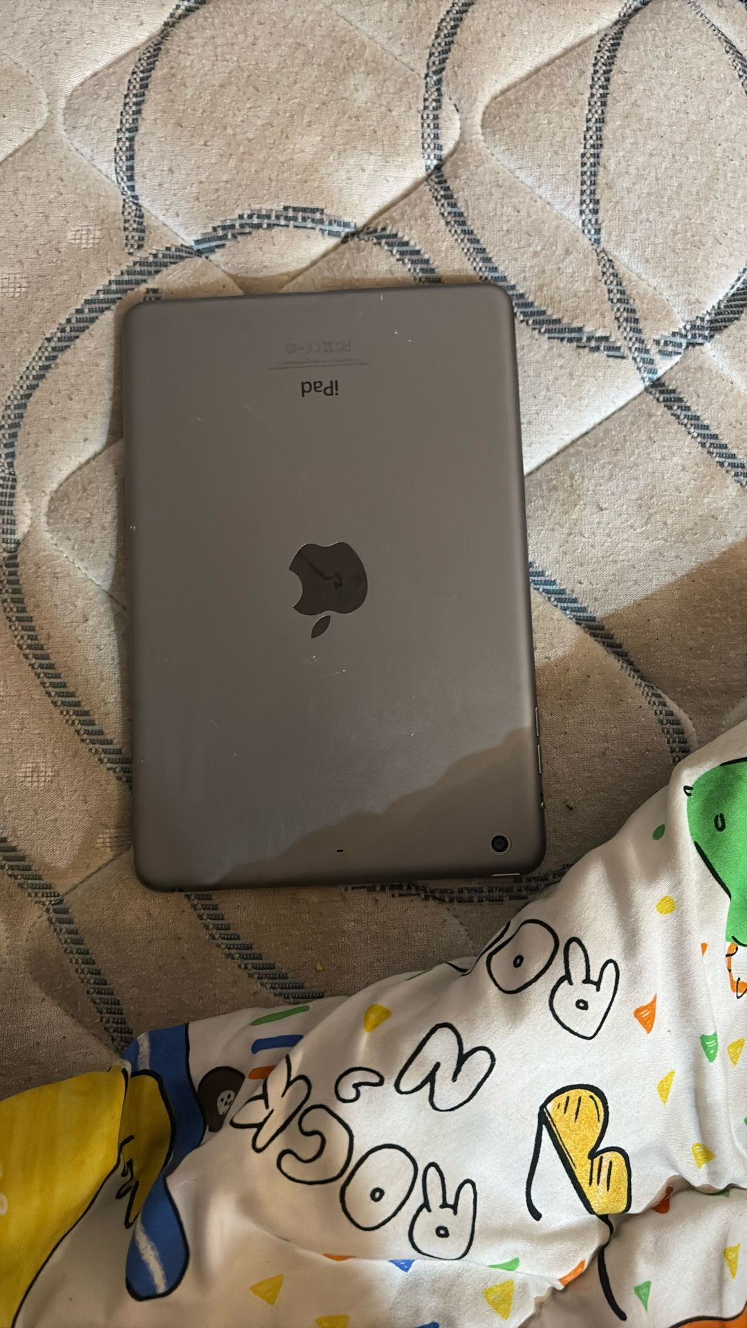 iPad