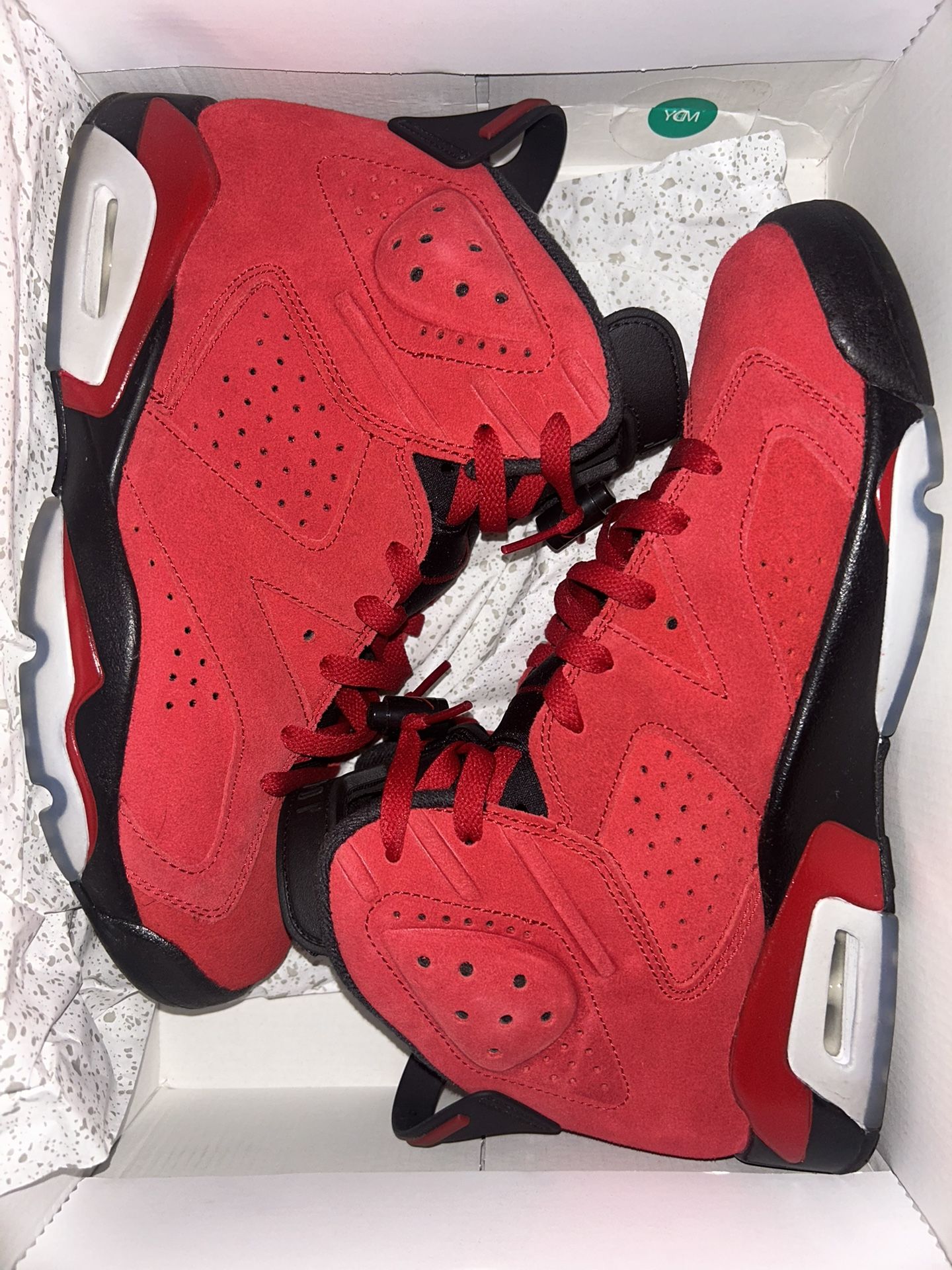 Toro 6s