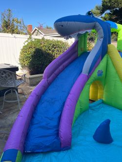 Inflatable Shark Slide