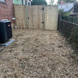 New Fence
