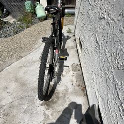 Mountain Bike
