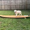 Heidi