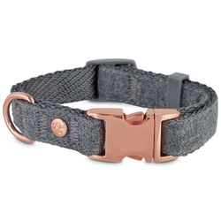 Dog Collar For Shih Tzu Puppy 