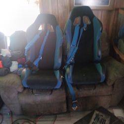 Pair Of Tiger Racing Bucket Seats