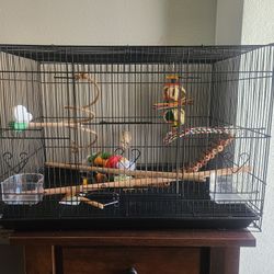 Bird Cage w/ Toys