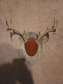 Deer Horn Mount